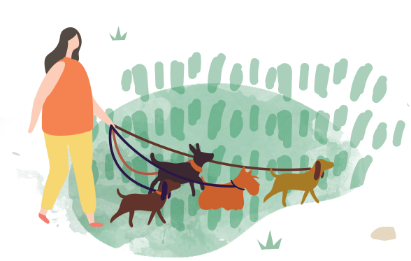 collectif solidarite